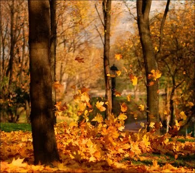 Novembre - Giovanni Pascoli